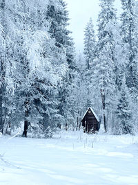 Snow covered house and trees in forest