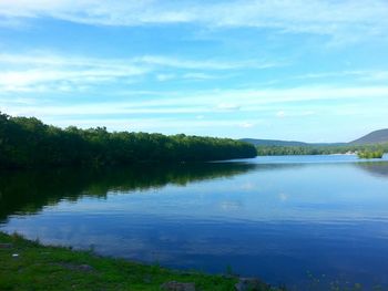 Reflection of trees in lake