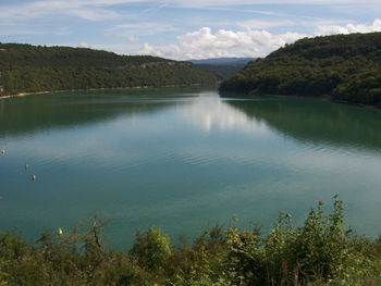 Scenic view of river in forest against sky