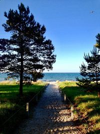 Scenic view of sea against clear blue sky