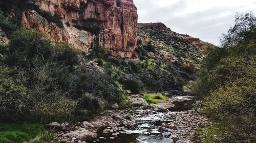 Scenic view of rocks in forest against sky