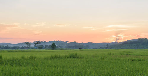 Scenic view of field against sky during sunset
