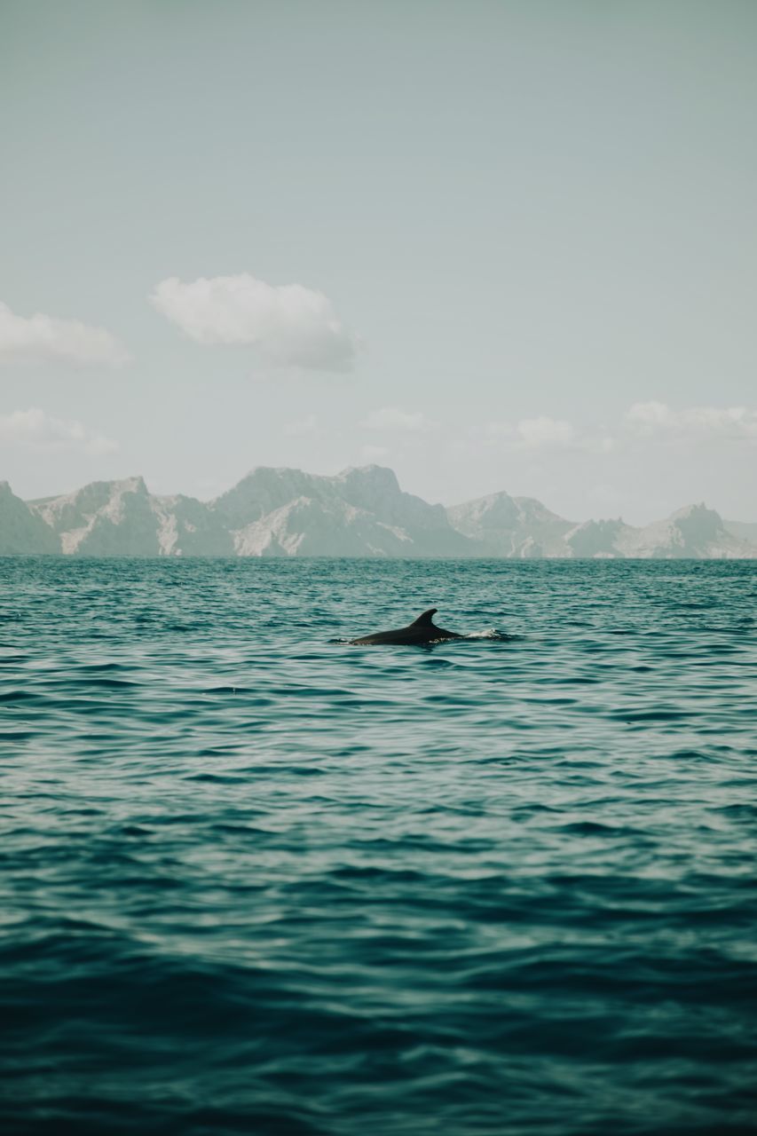 BOAT SWIMMING IN SEA AGAINST SKY