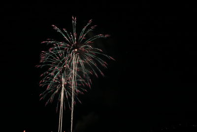 Low angle view of firework display at night