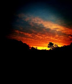 Silhouette of trees at sunset