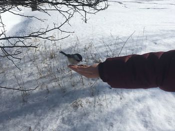 Midsection of person holding ice on land