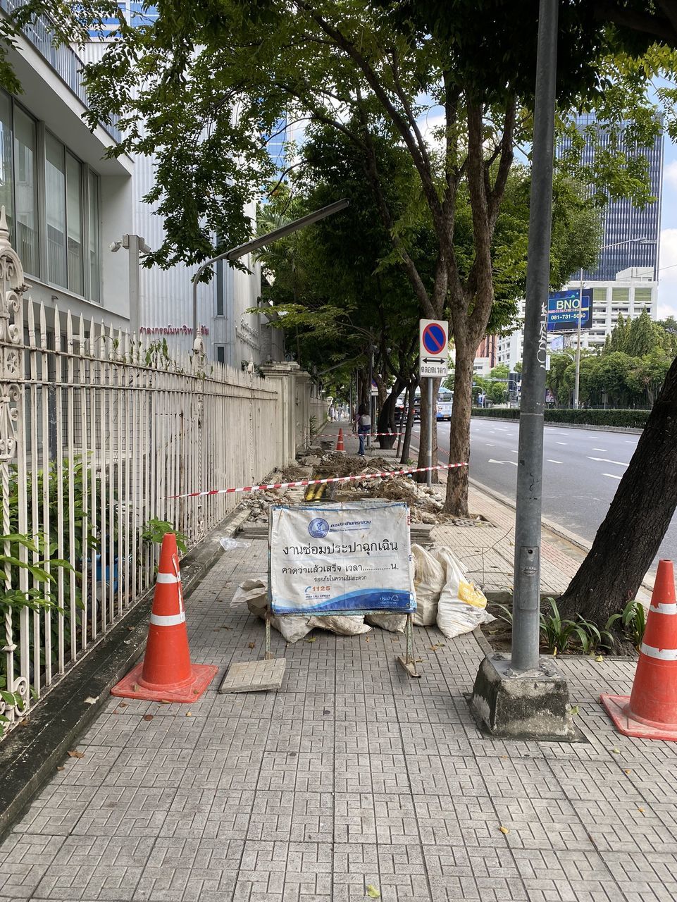 STREET AMIDST TREES AND BUILDINGS