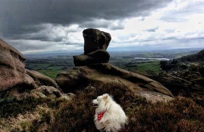 Scenic view of landscape against cloudy sky