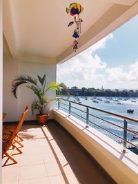 Potted plants by swimming pool against sky seen from balcony