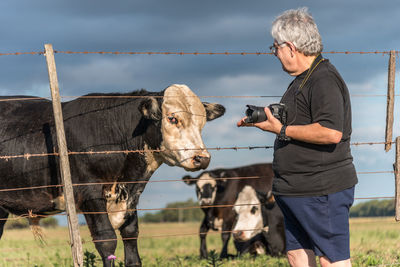 Gray haired photographer with camera in hand looking at a black and white male cow.