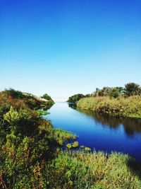 Scenic view of lake against clear blue sky