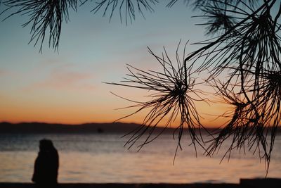 Silhouette woman on beach against sky during sunset