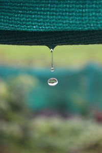 Close-up of water drops falling from fabric in rainy season