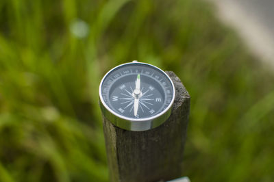 Close-up of clock on tree