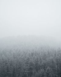 Scenic view of snow covered land against sky