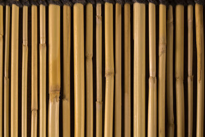 Detail shot of bamboo