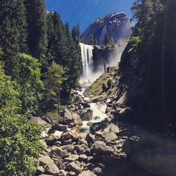 Scenic view of waterfall in forest