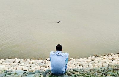 Rear view of man sitting by lake against sky