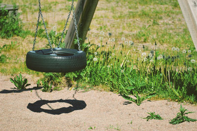 View of swing hanging from tree