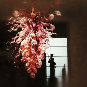 Close-up of flowers in the dark