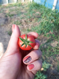 Midsection of person holding fruits