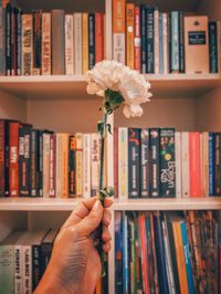 Cropped hand holding flower against books on shelf