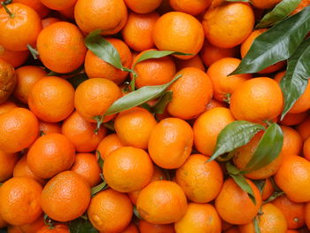 Full frame shot of oranges at market for sale