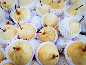 Yellow chinese pears in white mesh protective foam for sale