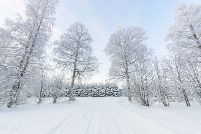 Snow covered land and trees against sky