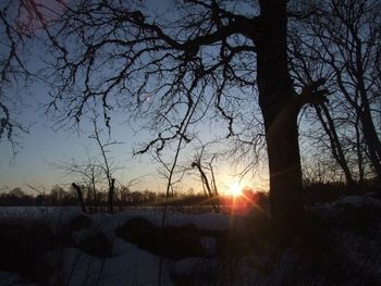 Bare trees against sky during sunset