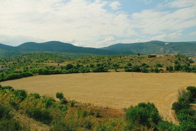 Scenic view of field against sky