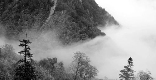 Mountains during foggy weather