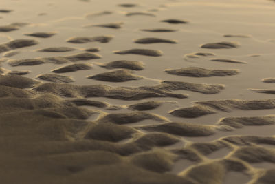 Full frame shot of sand at beach