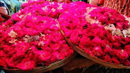 High angle view of pink flowering plants in market