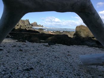 Close-up of beach against sky