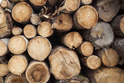 Closeup of round and stacked firewood