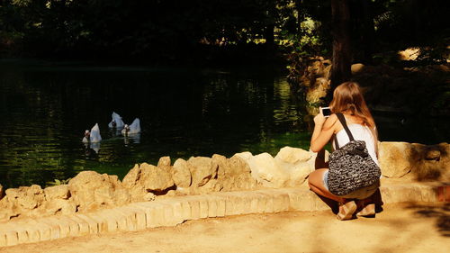 Rear view of woman photographing swans on sunny day by pond