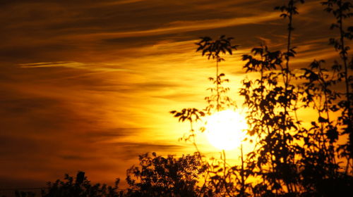 Low angle view of silhouette trees against romantic sky at sunset