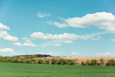 Scenic view of grassy field against cloudy sky