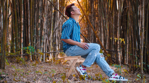 Side view of man sitting on stool in forest