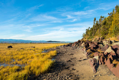 Scenic view of landscape against sky