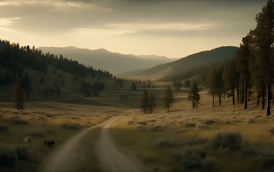 Scenic view of landscape against sky during sunset