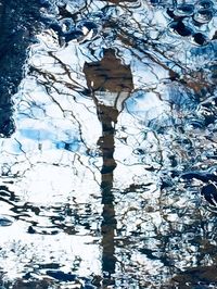 Reflection of tree in lake during winter