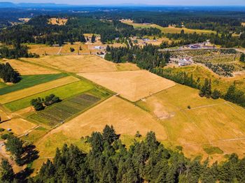 Scenic view of agricultural field