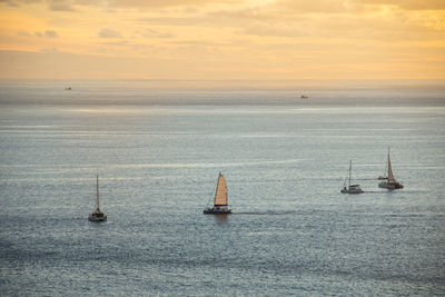 Sailboats sailing on sea against sky during sunset