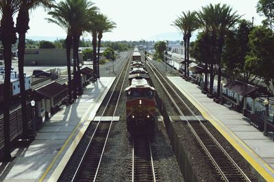 Railroad track passing through trees