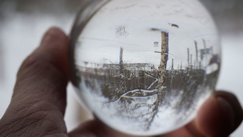 Close-up of person holding glass