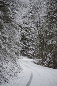 Road in winter landscape