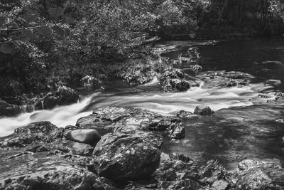 Stream flowing through rocks in forest