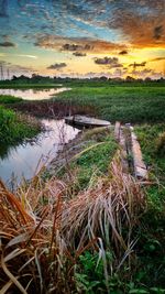 Scenic view of field against sky during sunset